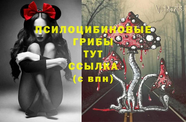 jwh Абаза