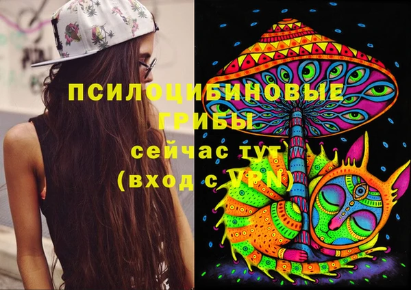 амф Арсеньев