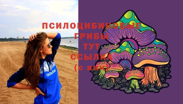 амф Арсеньев