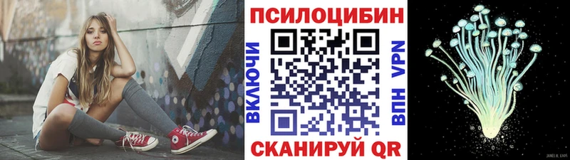 Галлюциногенные грибы Cubensis  Невинномысск 