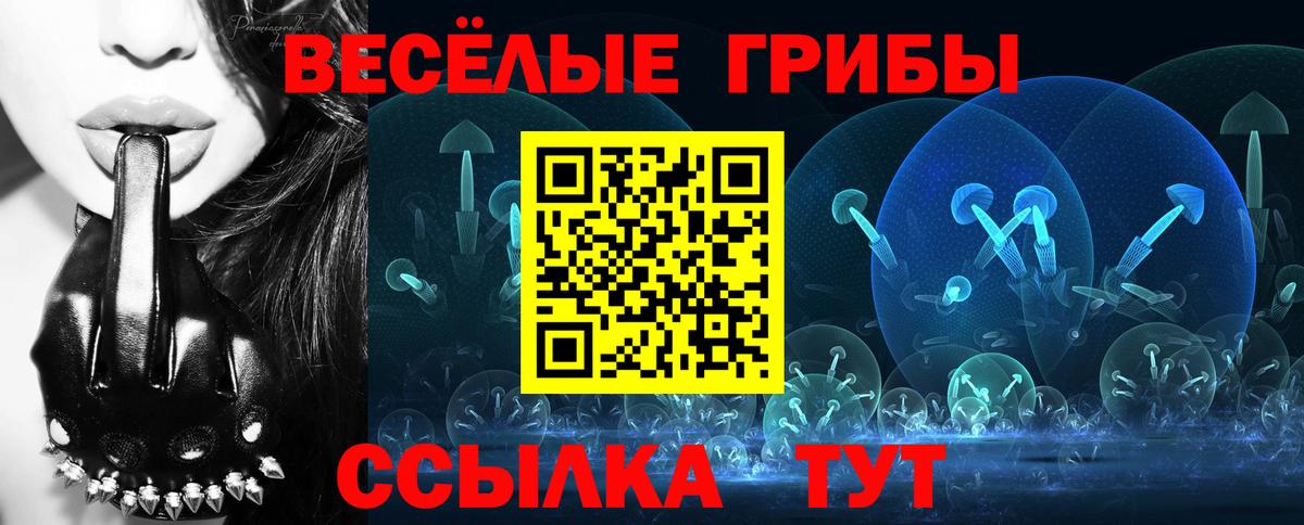 Галлюциногенные грибы прущие грибы  Вход с VPN  Невинномысск  Галлюциногенные грибы прущие грибы 