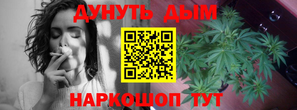 Марихуана план  Бошки Шишки MAZAR  Марихуана марихуана  Каннабис сатива  Невинномысск  Вход с VPN 